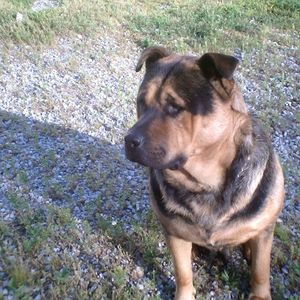 Meet your Posher, Jack